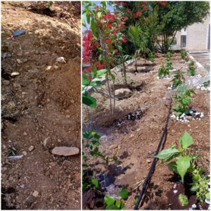 Agricultural Event in Bethlehem